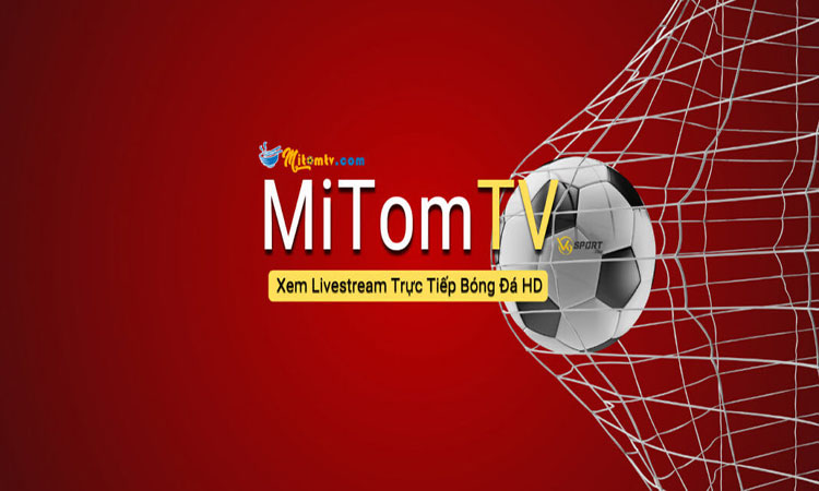 mitom-tv-live
